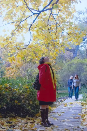 Autumn in the botanic garden of MSU. Кадр 1