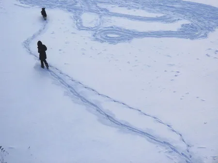 Winter. Novokosino. Кадр 10