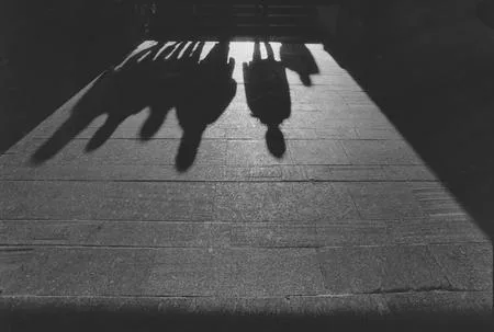 Moscow: light, shadow, rhythm. Кадр 2