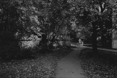 Silent life to Medvedkovo. Кадр 4