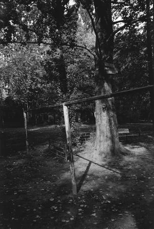 Silent life to Medvedkovo. Кадр 7