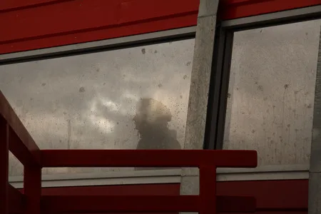 20 видов живописного моста. Кадр 13
