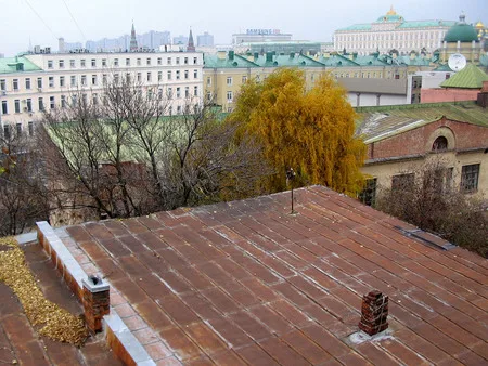 Golden island. Кадр 10