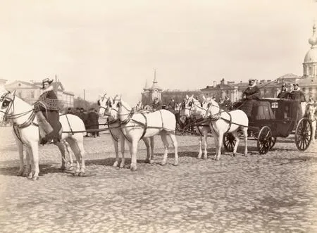 Санкт-Петербург и его окрестности в фотографиях XIX века. Кадр 6