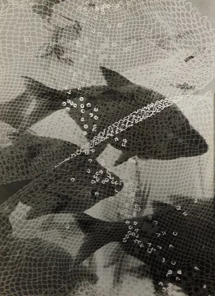 Хайнц Хаек-Хальке. Немецкая экспериментальная фотография 1930—1960. Кадр 3
