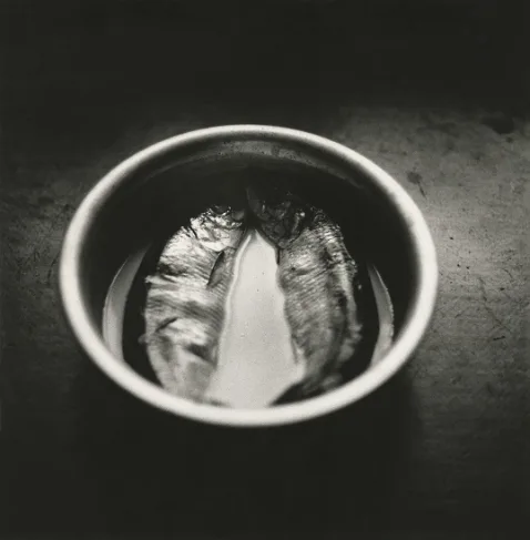 The geometry of light. Кадр 29