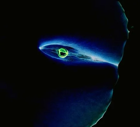 Universe. Кадр 1