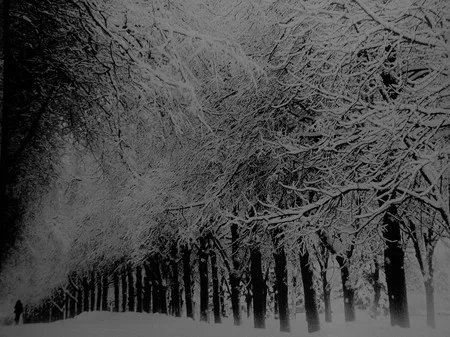 Moscow. Black-and-white series. Кадр 1