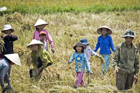 Asia. Exotic journey. Кадр 6