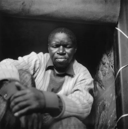 Africans. Кадр 6