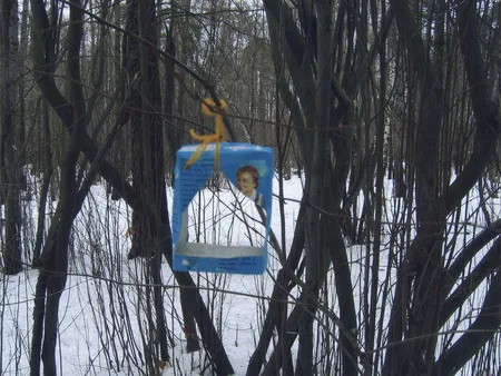 The bird’s public catering. Кадр 8