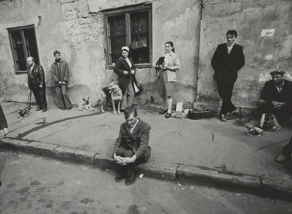 Жизнь в фотографии. Кадр 1