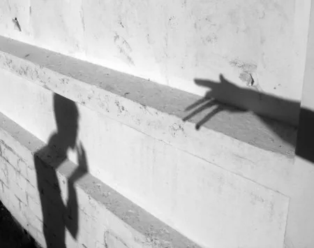 Playing with a shadow. Кадр 11
