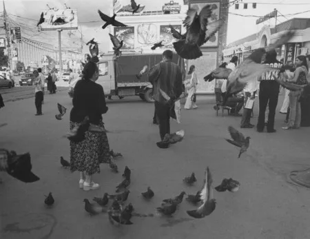 Moments of a city life. Кадр 7