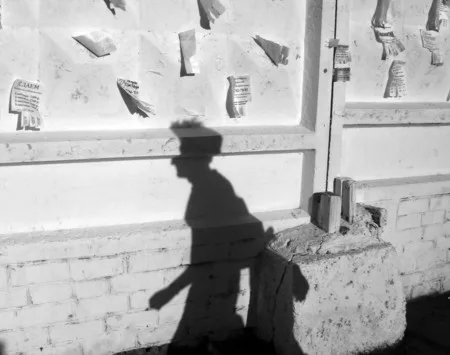 Playing with a shadow. Кадр 2