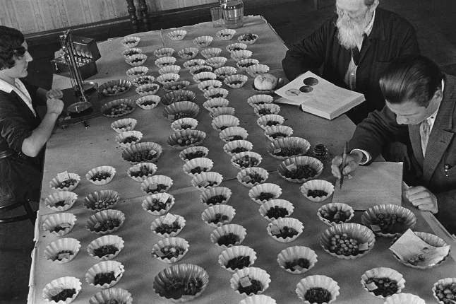 Михаил Прехнер. Фотоавангард 1930-х годов. Кадр 9