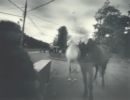 Non-objective reality. From the experience while shooting with obscure camera. Кадр 13