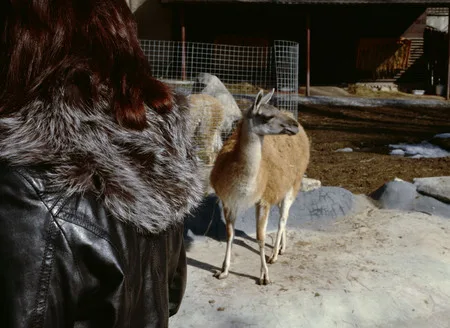 Whose fur coat is better?. Кадр 10