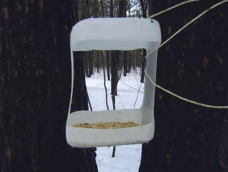 The bird’s public catering. Кадр 10
