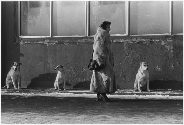 Ретроспектива. В рамках программы «Классики российской фотографии». Кадр 4