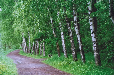 Moscow parks 2. Кадр 2
