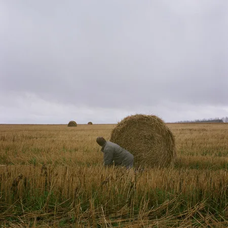 Alone in the field. Кадр 8