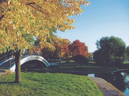 Indian summer in Drujba park. Кадр 1