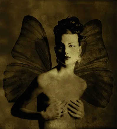 Still Art Collection. Selected works. Кадр 4