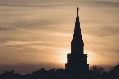 In evening gold. Кадр 5