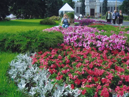 Festival of flowers on the VVC. Кадр 6
