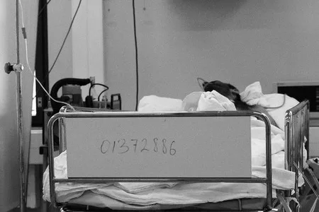 Guardian-Angels. Scientific and Research Institute of the First aid named by Sklifosovskiy,intensive care un. Кадр 7