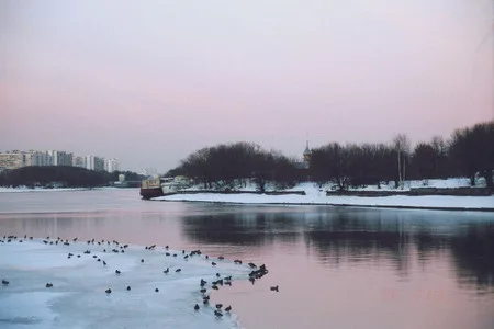 Winter dawn in Kolomenskoe. Кадр 2