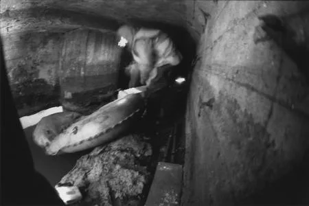 In the underground rivers. Кадр 1