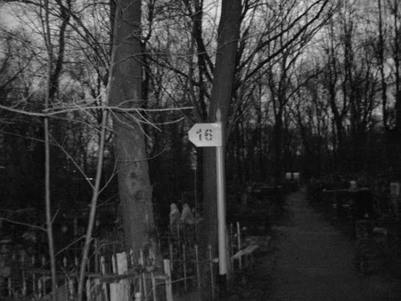 Days in black-and-white. Кадр 8