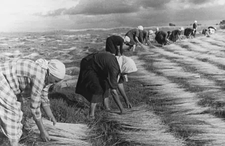 Soviet photography. 1920-30s, From Pictorialism and Constructivism to Social realism. Кадр 1