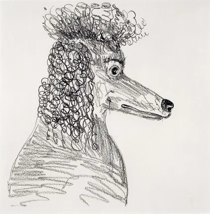 Rosemarie Trockel. Кадр 6