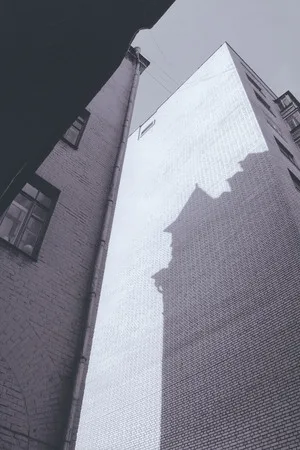 Силуэты. Кадр 4
