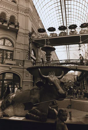 GUM. Cow parade. Кадр 5