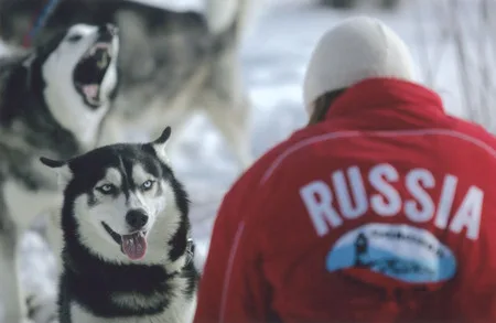 Husky. Кадр 6