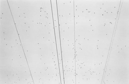 Crossing. Кадр 5