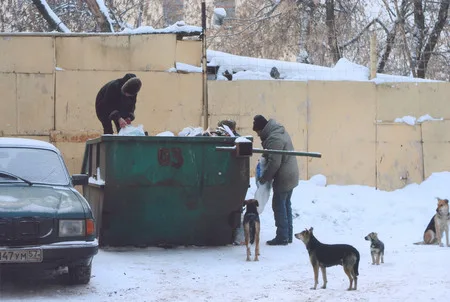 From the life of people. Кадр 8