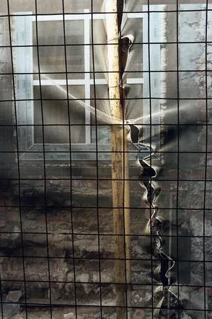 Restoration. Кадр 3