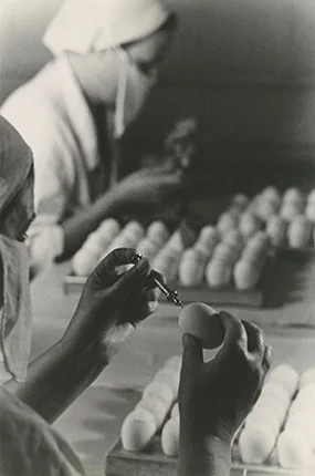 Советская повседневная жизнь. 1930-е — 1960-е годы. Кадр 6