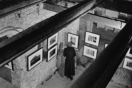 Photobiennale. Кадр 2