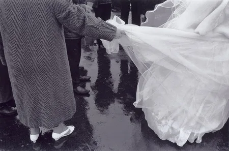Weddings on Vorobievi Gori. Кадр 10