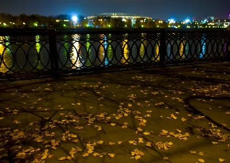 36 views of the Puddle or opening of Katsushika Hokusai monument in Moscow. Кадр 10