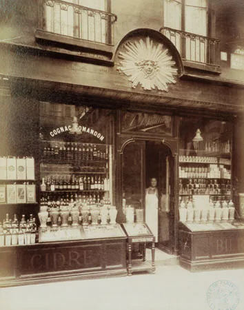 Paris at the Turn of the Century. Кадр 6