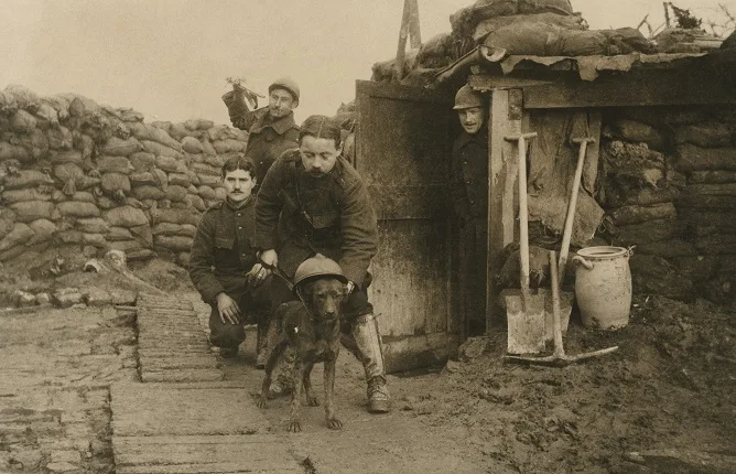 Война и мир. На заре европейской фотожурналистики. 1910-е годы. Кадр 5