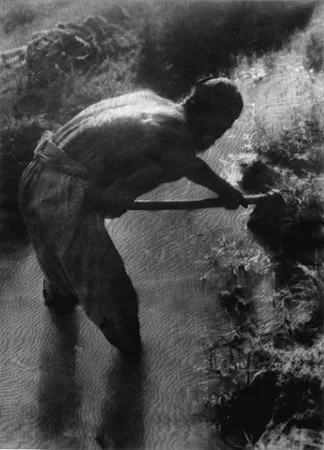 A New Look at Russian Photography, 1910s-1940s. Between Pictorialism and Constructivism. Кадр 5