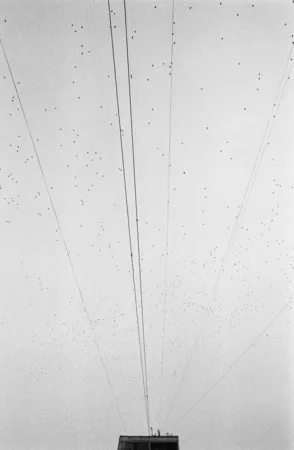 Crossing. Кадр 13